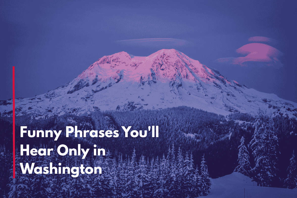 Funny Phrases You'll Hear Only in Washington