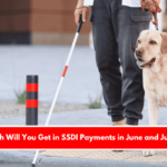 How Much Will You Get in SSDI Payments in June and July 2025