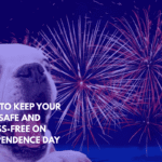 How to Keep Your Pets Safe and Stress-Free on Independence Day