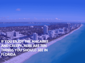 If You Enjoy the Macabre and Creepy, Here Are Ten Things You Should See in Florida