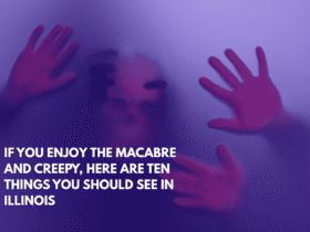 If You Enjoy the Macabre and Creepy, Here Are Ten Things You Should See in Illinois