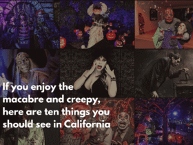 If you enjoy the macabre and creepy, here are ten things you should see in California