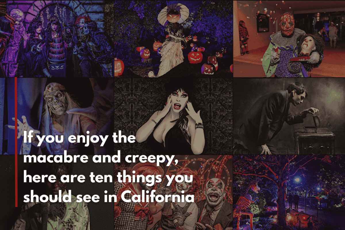 If you enjoy the macabre and creepy, here are ten things you should see in California