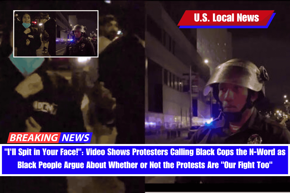 I'll Spit in Your Face! Video Shows Protesters Calling Black Cops the N-Word as Black People Argue About Whether or Not the Protests Are Our Fight Too