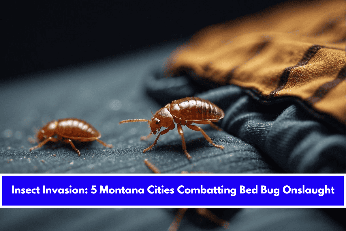 Insect Invasion 5 Montana Cities Combatting Bed Bug Onslaught