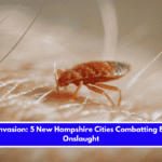 Insect Invasion 5 New Hampshire Cities Combatting Bed Bug Onslaught