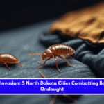 Insect Invasion 5 North Dakota Cities Combatting Bed Bug Onslaught