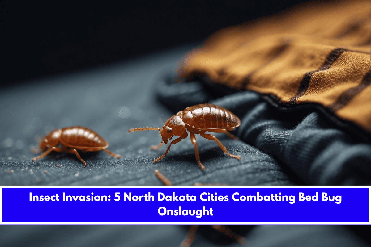 Insect Invasion 5 North Dakota Cities Combatting Bed Bug Onslaught