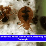 Insect Invasion 5 Rhode Island Cities Combatting Bed Bug Onslaught