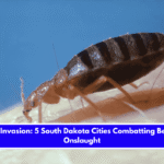 Insect Invasion 5 South Dakota Cities Combatting Bed Bug Onslaught