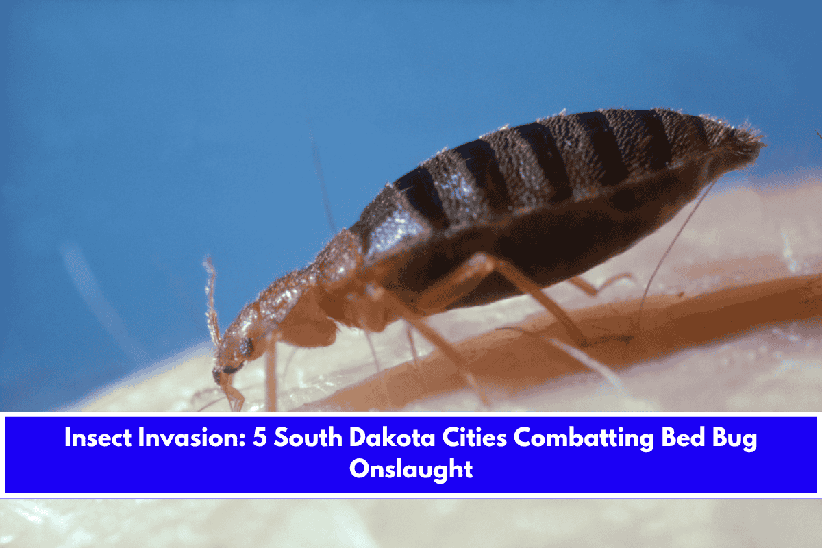 Insect Invasion 5 South Dakota Cities Combatting Bed Bug Onslaught