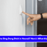 Is It Illegal to Ding Dong Ditch in Hawaii Here’s What the Law Says