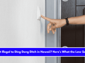 Is It Illegal to Ding Dong Ditch in Hawaii Here’s What the Law Says