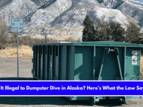 Is It Illegal to Dumpster Dive in Alaska Here’s What the Law Says