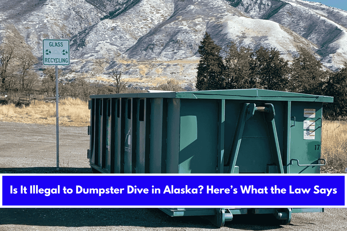 Is It Illegal to Dumpster Dive in Alaska Here’s What the Law Says