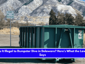 Is It Illegal to Dumpster Dive in Delaware Here’s What the Law Says
