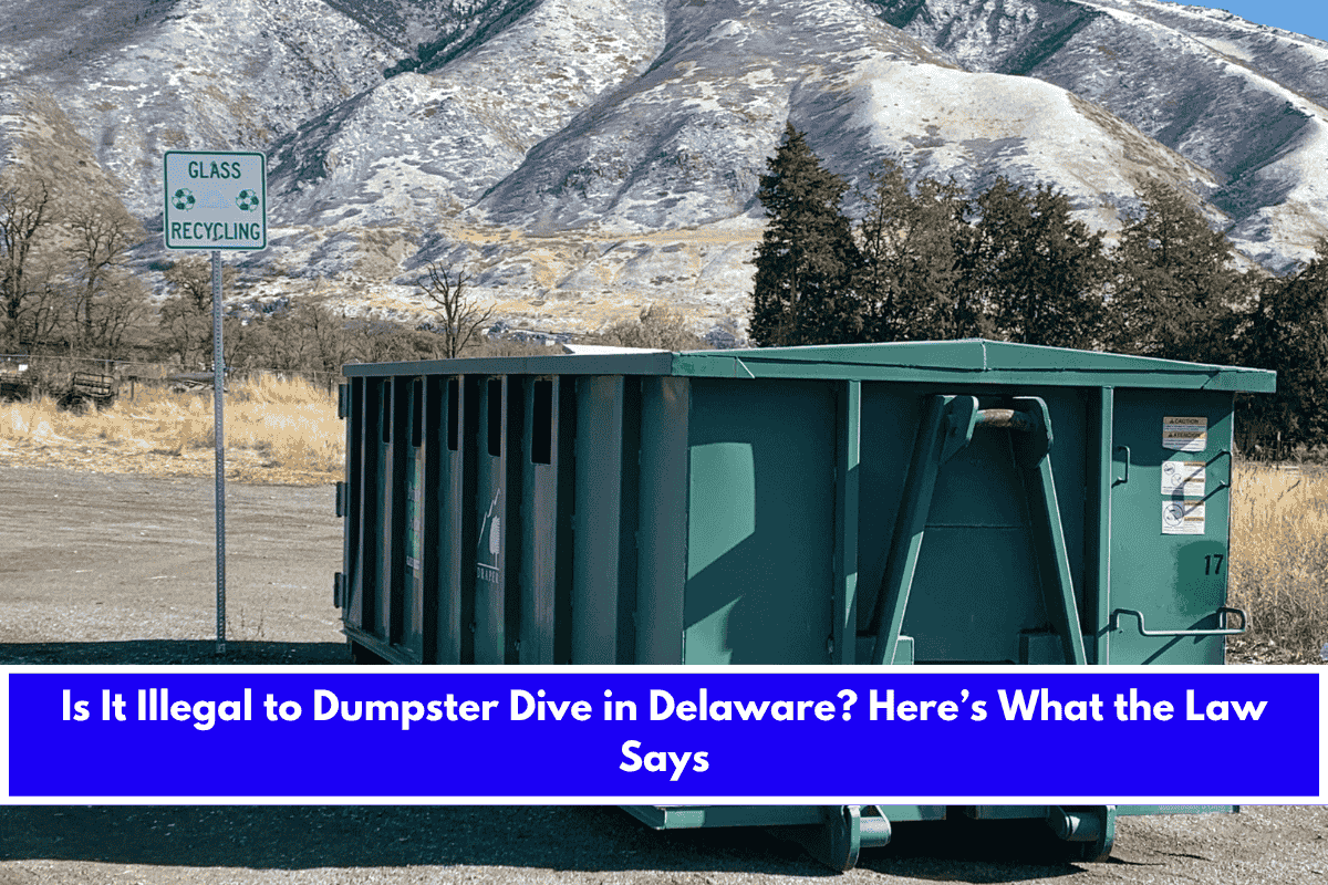 Is It Illegal to Dumpster Dive in Delaware Here’s What the Law Says