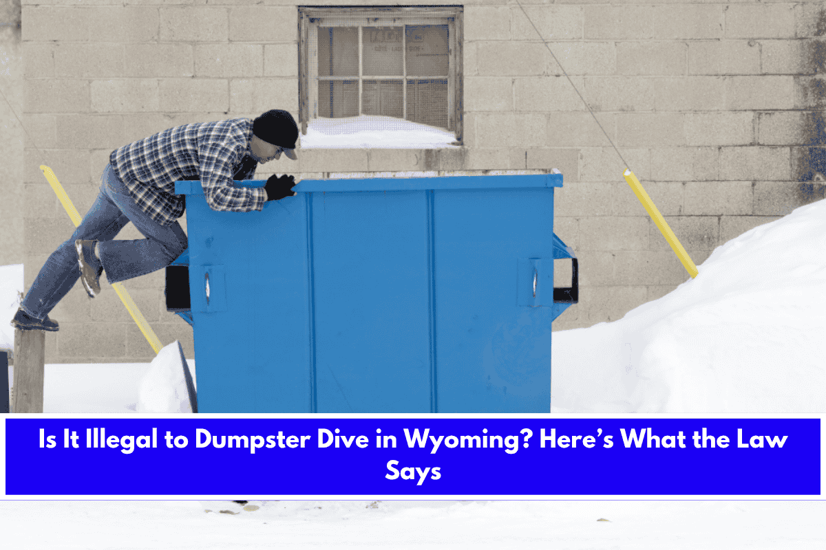 Is It Illegal to Dumpster Dive in Wyoming Here’s What the Law Says