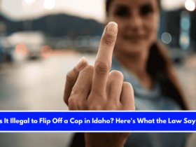 Is It Illegal to Flip Off a Cop in Idaho Here's What the Law Says