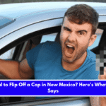 Is It Illegal to Flip Off a Cop in New Mexico Here's What the Law Says
