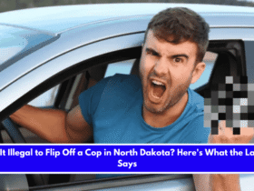Is It Illegal to Flip Off a Cop in North Dakota Here's What the Law Says
