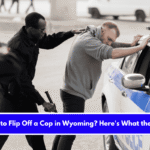 Is It Illegal to Flip Off a Cop in Wyoming Here's What the Law Says