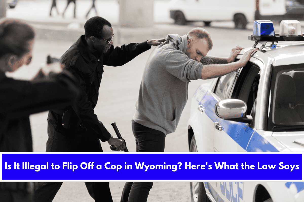 Is It Illegal to Flip Off a Cop in Wyoming Here's What the Law Says