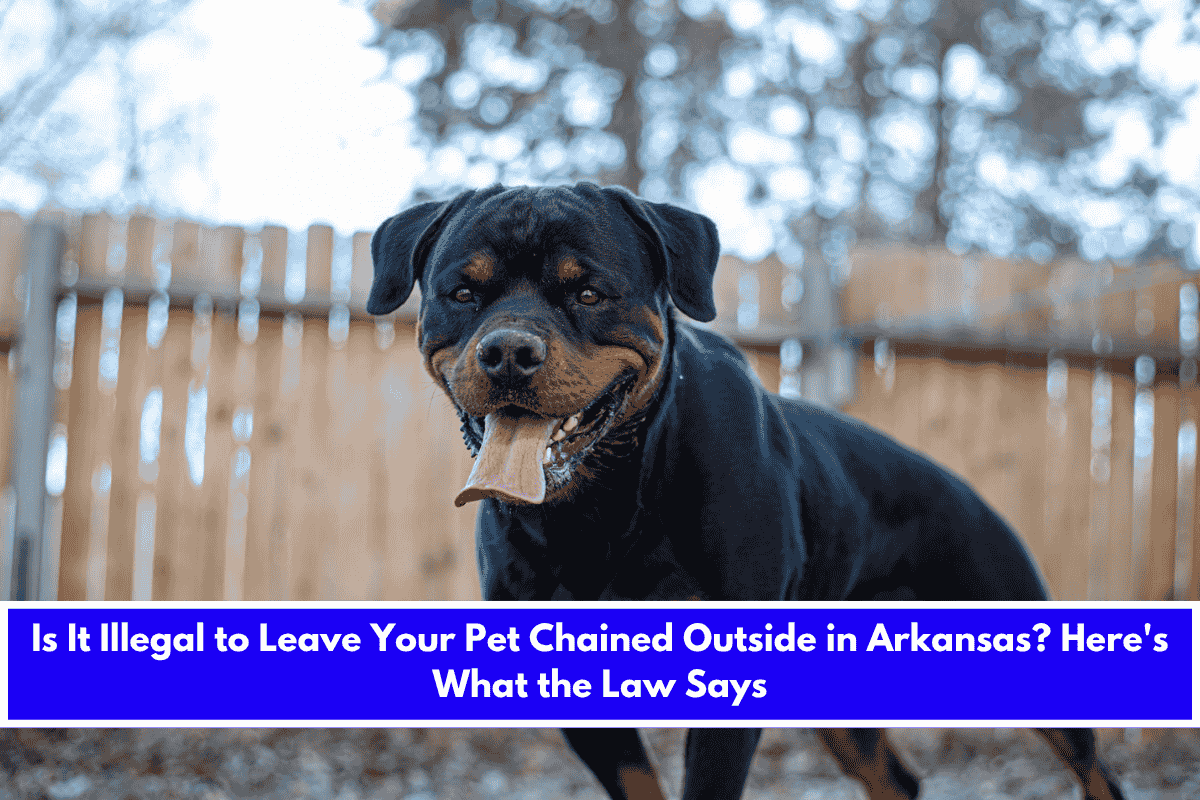 Is It Illegal to Leave Your Pet Chained Outside in Arkansas Here's What the Law Says