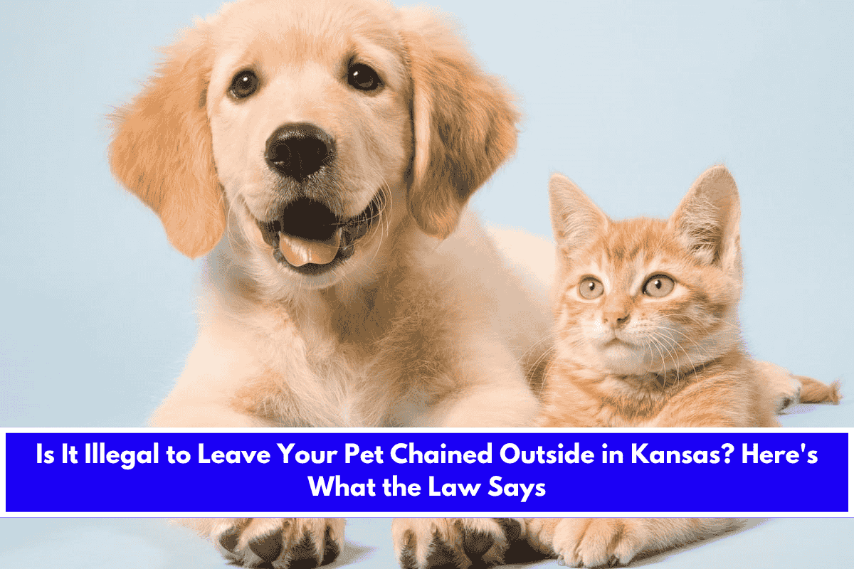 Is It Illegal to Leave Your Pet Chained Outside in Kansas Here's What the Law Says