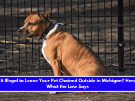 Is It Illegal to Leave Your Pet Chained Outside in Michigan Here's What the Law Says