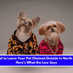 Is It Illegal to Leave Your Pet Chained Outside in North Dakota Here's What the Law Says