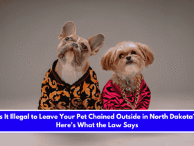 Is It Illegal to Leave Your Pet Chained Outside in North Dakota Here's What the Law Says