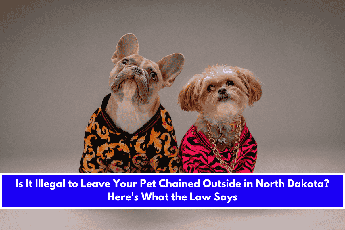 Is It Illegal to Leave Your Pet Chained Outside in North Dakota Here's What the Law Says