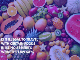 Is It Illegal to Travel With Certain Foods in Illinois Here’s What the Law Says