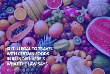 Is It Illegal to Travel With Certain Foods in Illinois Here’s What the Law Says