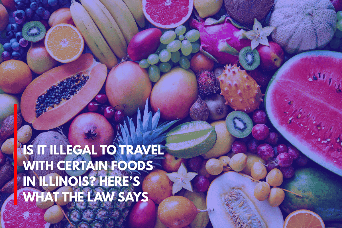 Is It Illegal to Travel With Certain Foods in Illinois Here’s What the Law Says