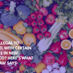 Is It Illegal to Travel With Certain Foods in New Mexico Here’s What the Law Says