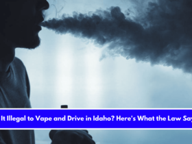 Is It Illegal to Vape and Drive in Idaho Here's What the Law Says