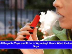 Is It Illegal to Vape and Drive in Wyoming Here's What the Law Says