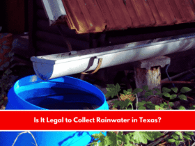 Is It Legal to Collect Rainwater in Texas