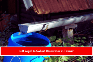 Is It Legal to Collect Rainwater in Texas