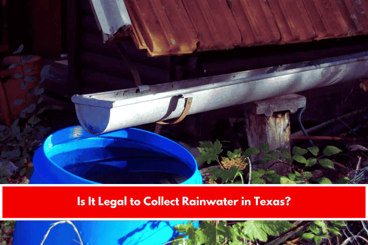 Is It Legal to Collect Rainwater in Texas