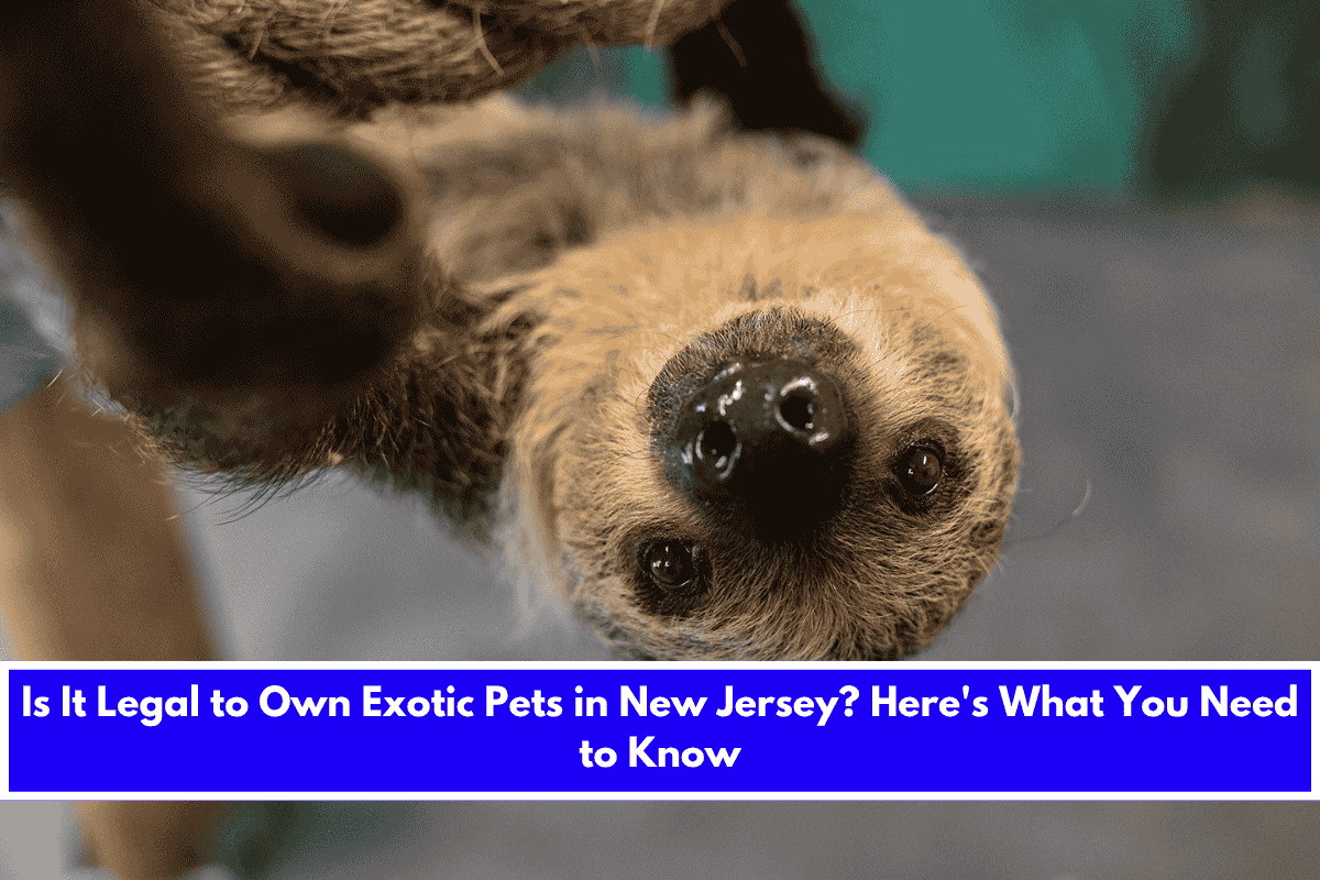 Is It Legal to Own Exotic Pets in New Jersey Here's What You Need to Know