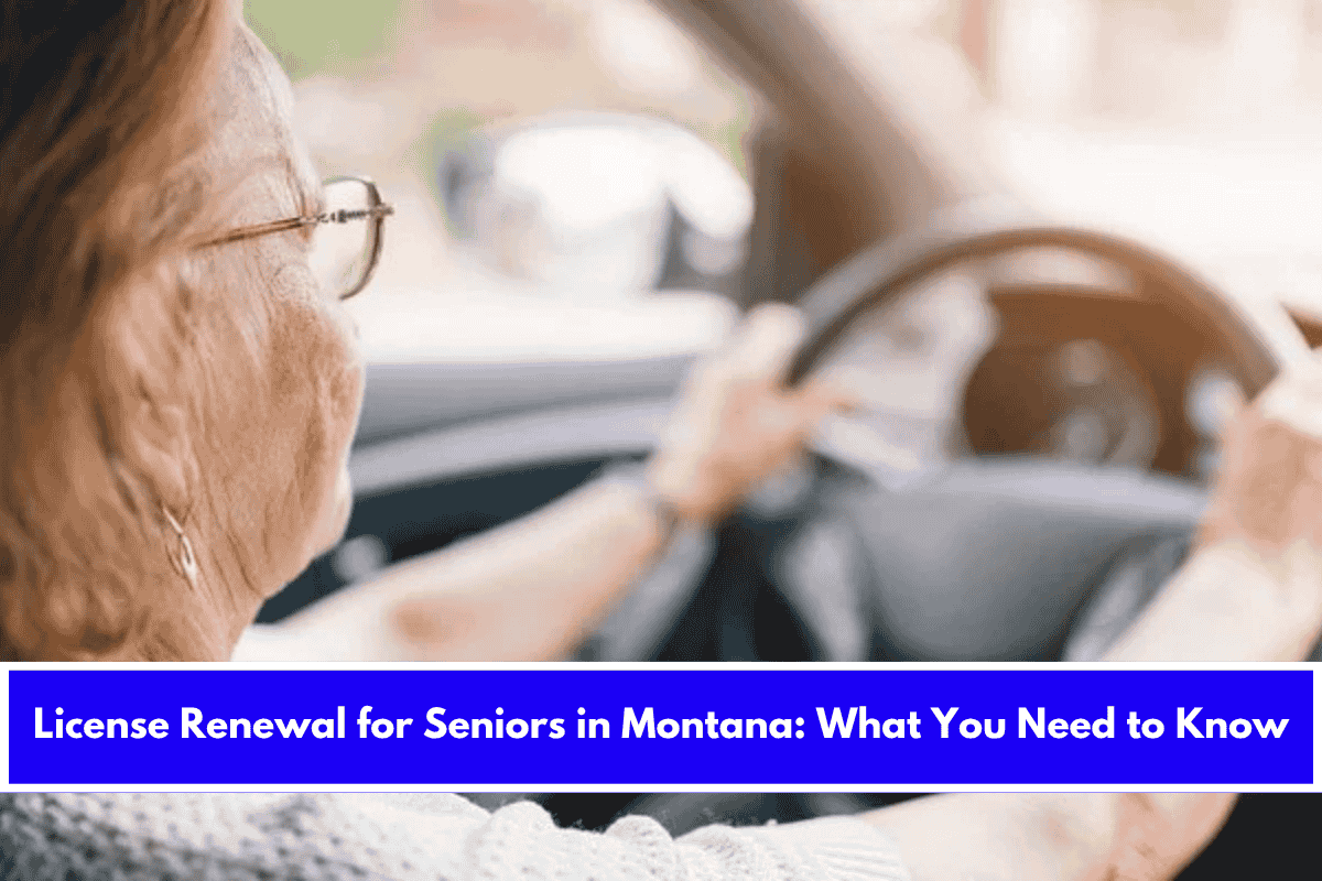 License Renewal for Seniors in Montana What You Need to Know