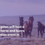 Livingston will host a wild horse and burro adoption event in July