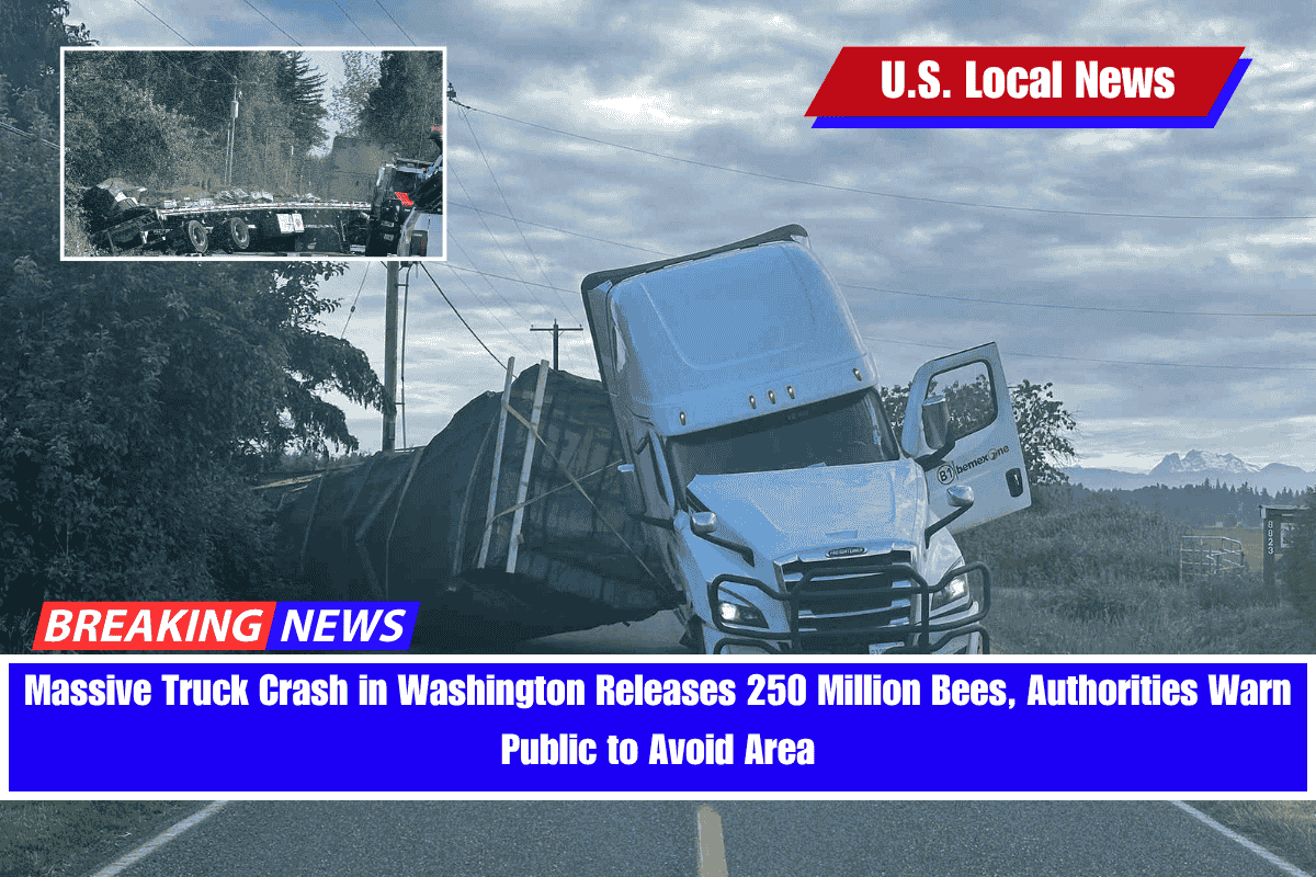Massive Truck Crash in Washington Releases 250 Million Bees, Authorities Warn Public to Avoid Area