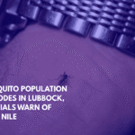 Mosquito Population Explodes in Lubbock, Officials Warn of West Nile