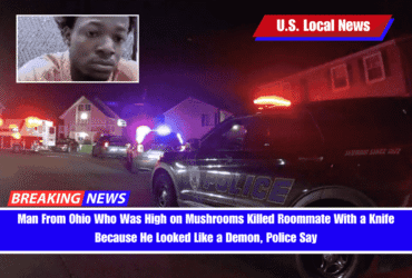Ohio Man Charged with Murder After Stabbing Roommate While Allegedly Under the Influence of Psilocybin Mushrooms
