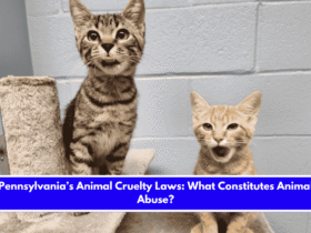 Pennsylvania’s Animal Cruelty Laws What Constitutes Animal Abuse