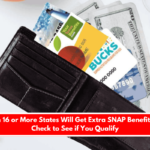 People in 16 or More States Will Get Extra SNAP Benefits Money Check to See if You Qualify